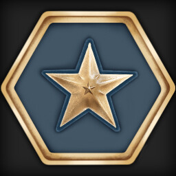 Bronze Star Medal