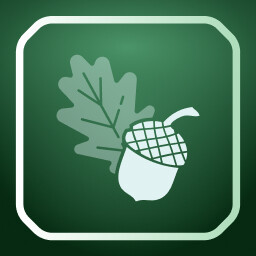 Acorn