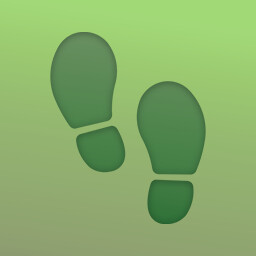 Achievement: First Steps First Steps