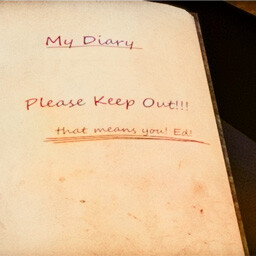 The Diary