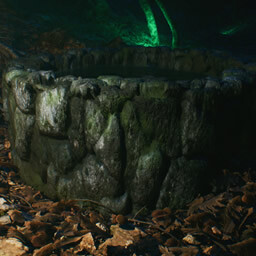 Achievement: THE RING THE RING