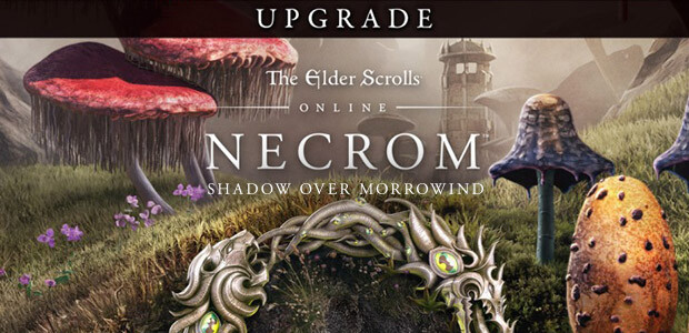 The Elder Scrolls Online Upgrade: Necrom (Steam) - Cover / Packshot