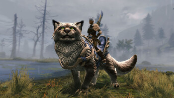 Screenshot8