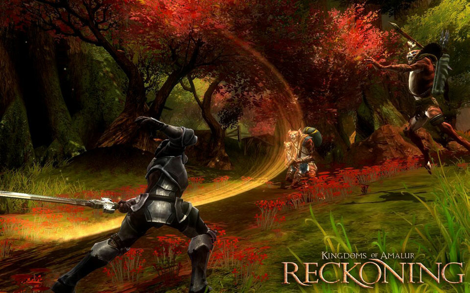 Kingdoms of amalur reckoning dlc описание