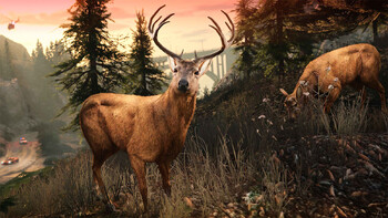 Screenshot11