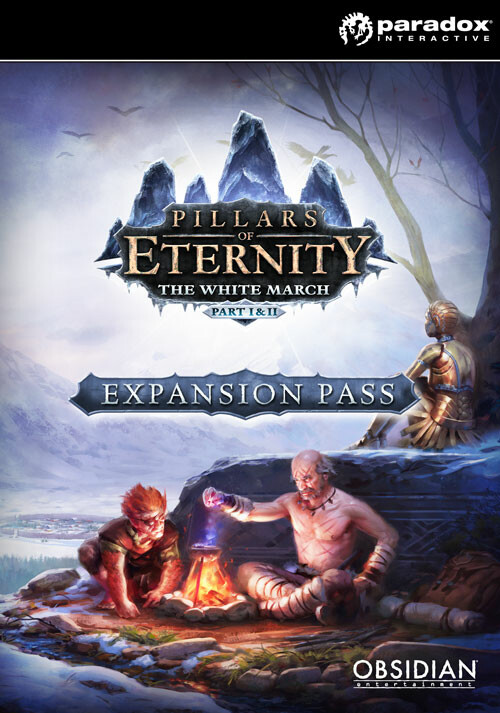 Pillars of Eternity Expansion Pass - Cover / Packshot