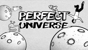 Perfect Universe