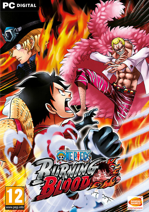 One Piece Burning Blood - Cover / Packshot