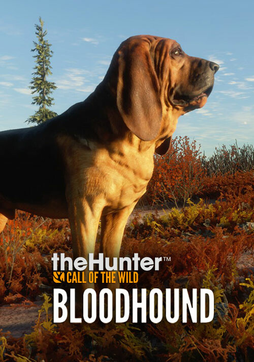 theHunter: Call of the Wild - Bloodhound - Cover / Packshot
