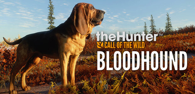 theHunter: Call of the Wild - Bloodhound - Cover / Packshot