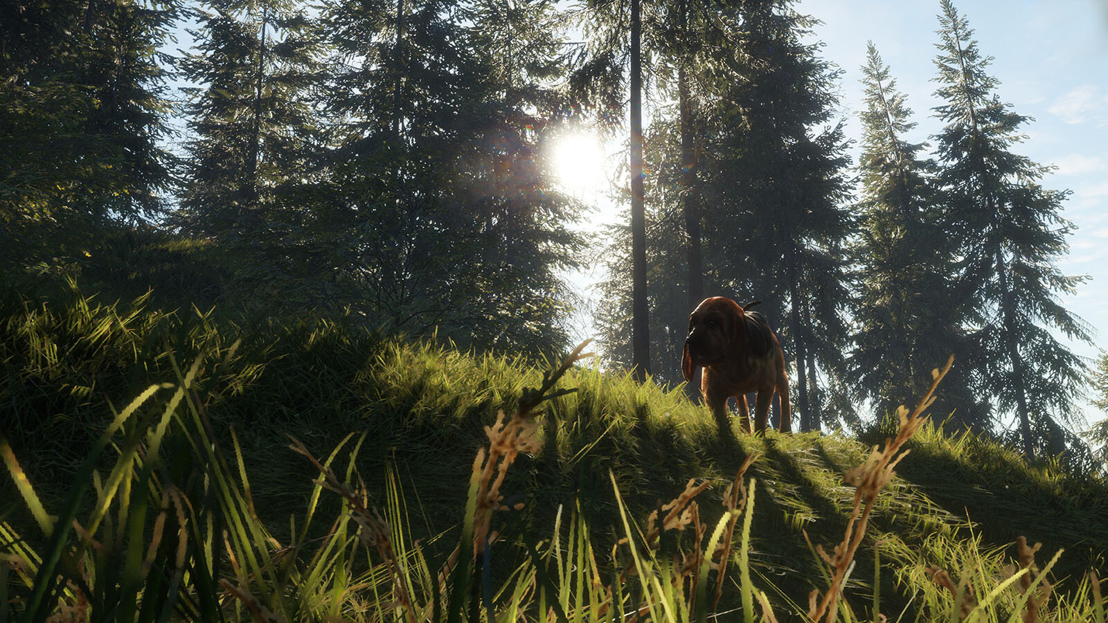 Buy theHunter: Call of the Wild™