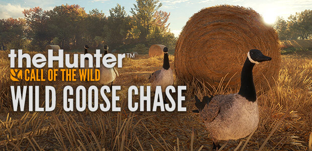 theHunter: Call of the Wild - Wild Goose Chase Gear - Cover / Packshot