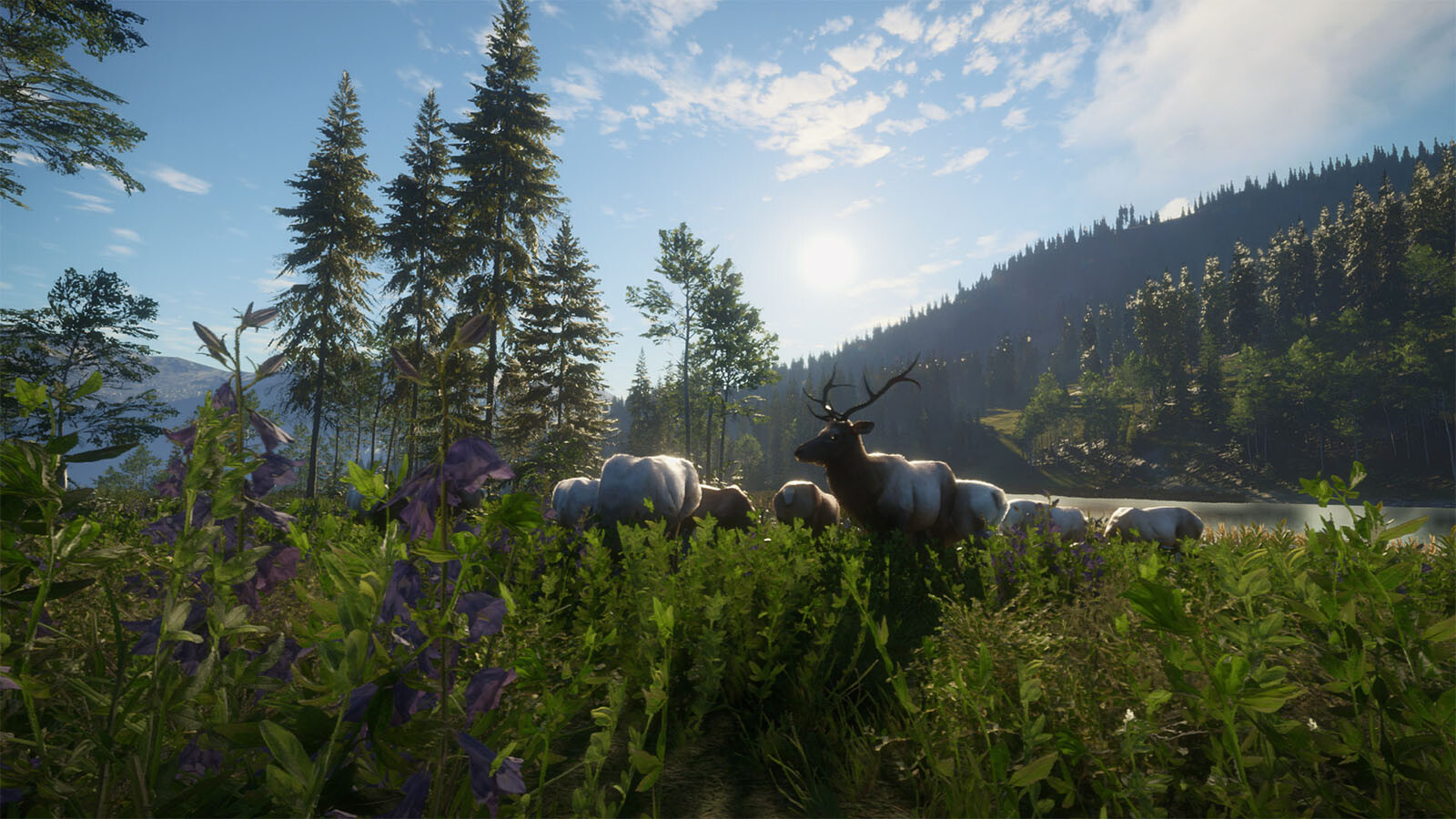 theHunter: Call of the Wild - Silver Ridge Peaks Steam Key for PC - Buy now