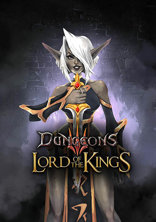 dungeon lords steam edition load times