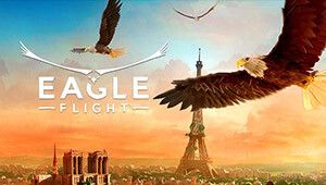 Eagle Flight