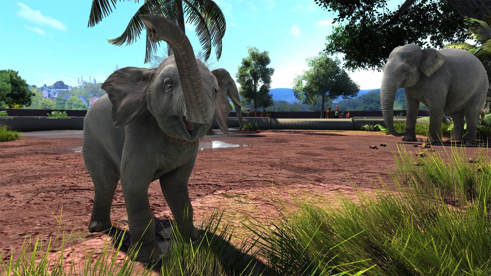 Zoo Tycoon Ultimate Animal Collection (PC) Key cheap - Price of $4.88 for  Steam