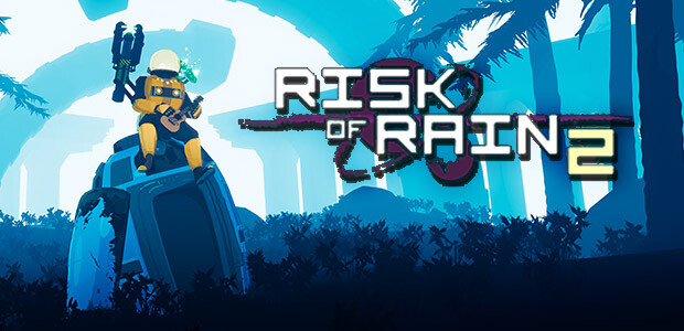 risk of rain 2 steam launch options