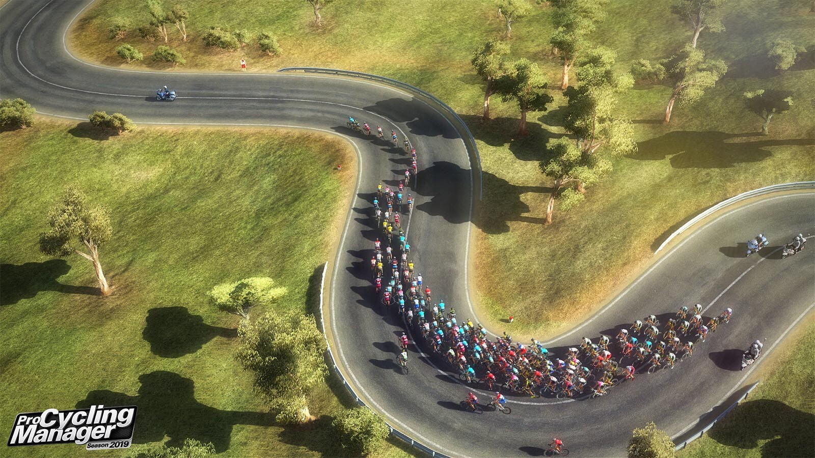 Pro Cycling Manager 2019 Steam Key für PC online kaufen