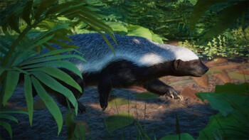 Screenshot1