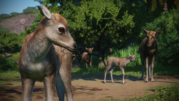 Screenshot3