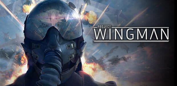 Project Wingman - Cover / Packshot