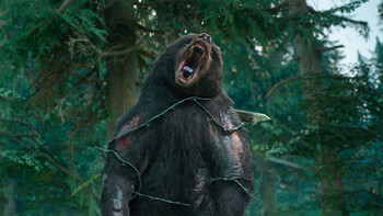 Screenshot3