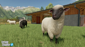 Screenshot13