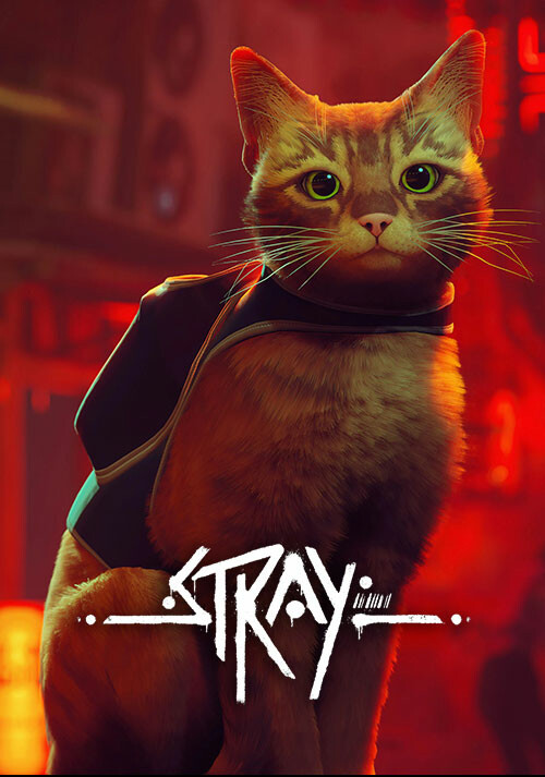 Stray - Cover / Packshot