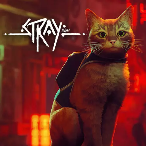 Stray