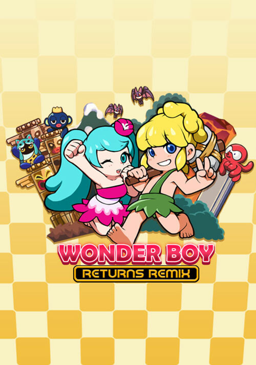 Wonder Boy Returns Remix - Cover / Packshot