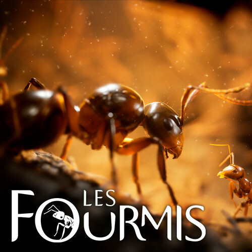 Les Fourmis