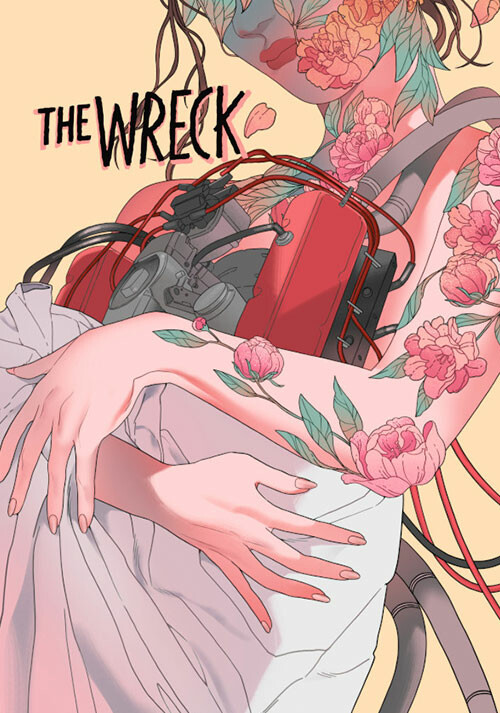 The Wreck - Cover / Packshot