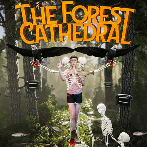 The Forest Cathedral