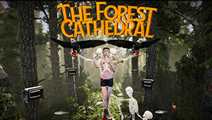 The Forest Cathedral