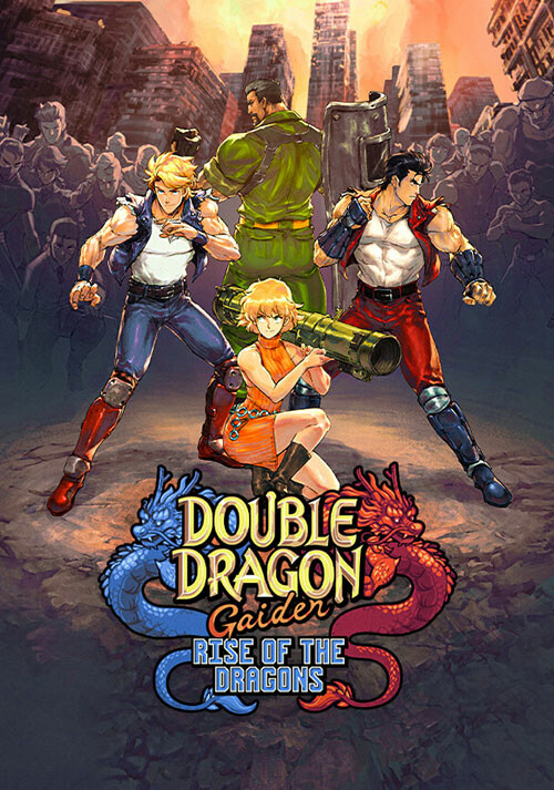 Double Dragon Gaiden: Rise Of The Dragons - Cover / Packshot