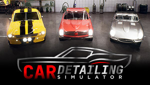 Car Detailing Simulator