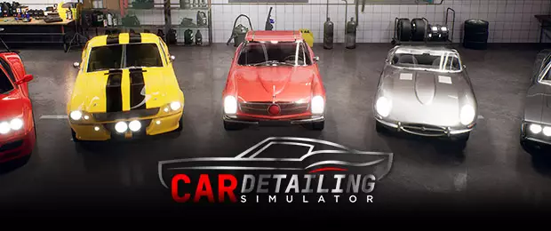 Car Detailing Simulator