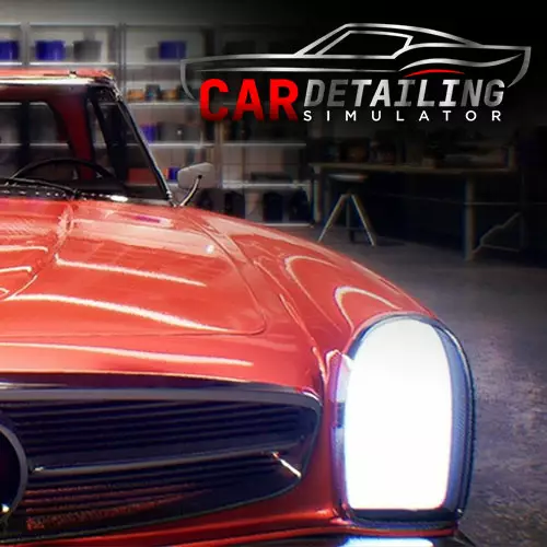 Car Detailing Simulator