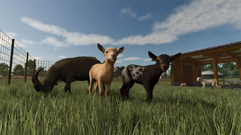 Screenshot15