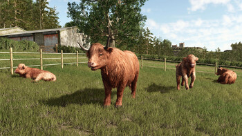 Screenshot5