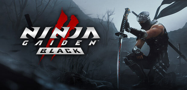 NINJA GAIDEN 2 Black - Cover / Packshot