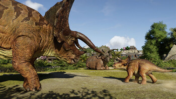 Screenshot11