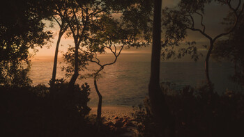 Screenshot11