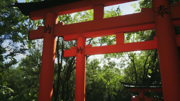 Screenshot12