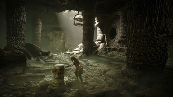 Screenshot5