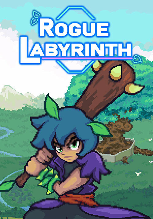 Rogue Labyrinth - Cover / Packshot