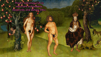 Screenshot1