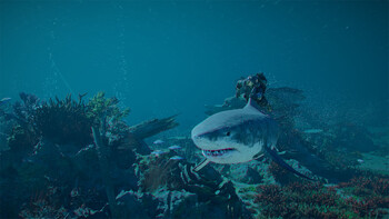 Screenshot6