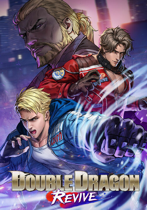 Double Dragon Revive - Cover / Packshot