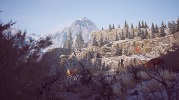 Screenshot17